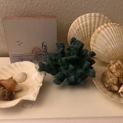 Beach Decor