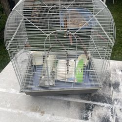 Bird Cage With Sticks