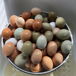 Fresh Chicken Eggs In Different Size And Color Depending On The Layed Eggs Daily