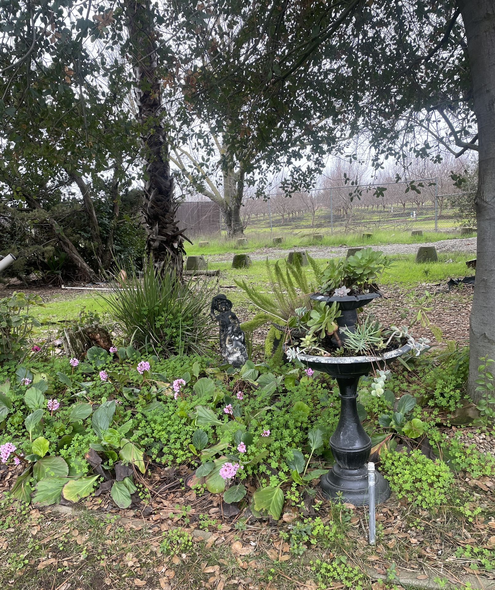 Rustic Fountain With Succulent 