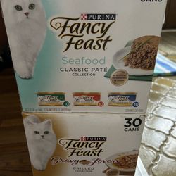 Cat Food 
