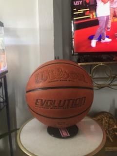 Wilson Evolution Basketball Indoor 