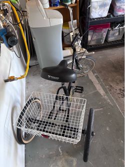 Worksman Adult tricycle with basket