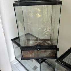 10 Gallon Exo Terra Tank