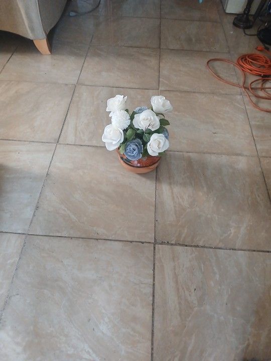 Flower Pot  for Indoor Decoration 