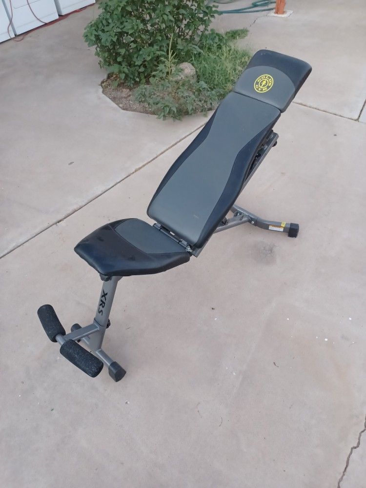 adjustable bench golds gym