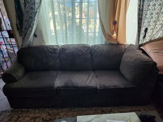 FREE  3 seat Plush Couch