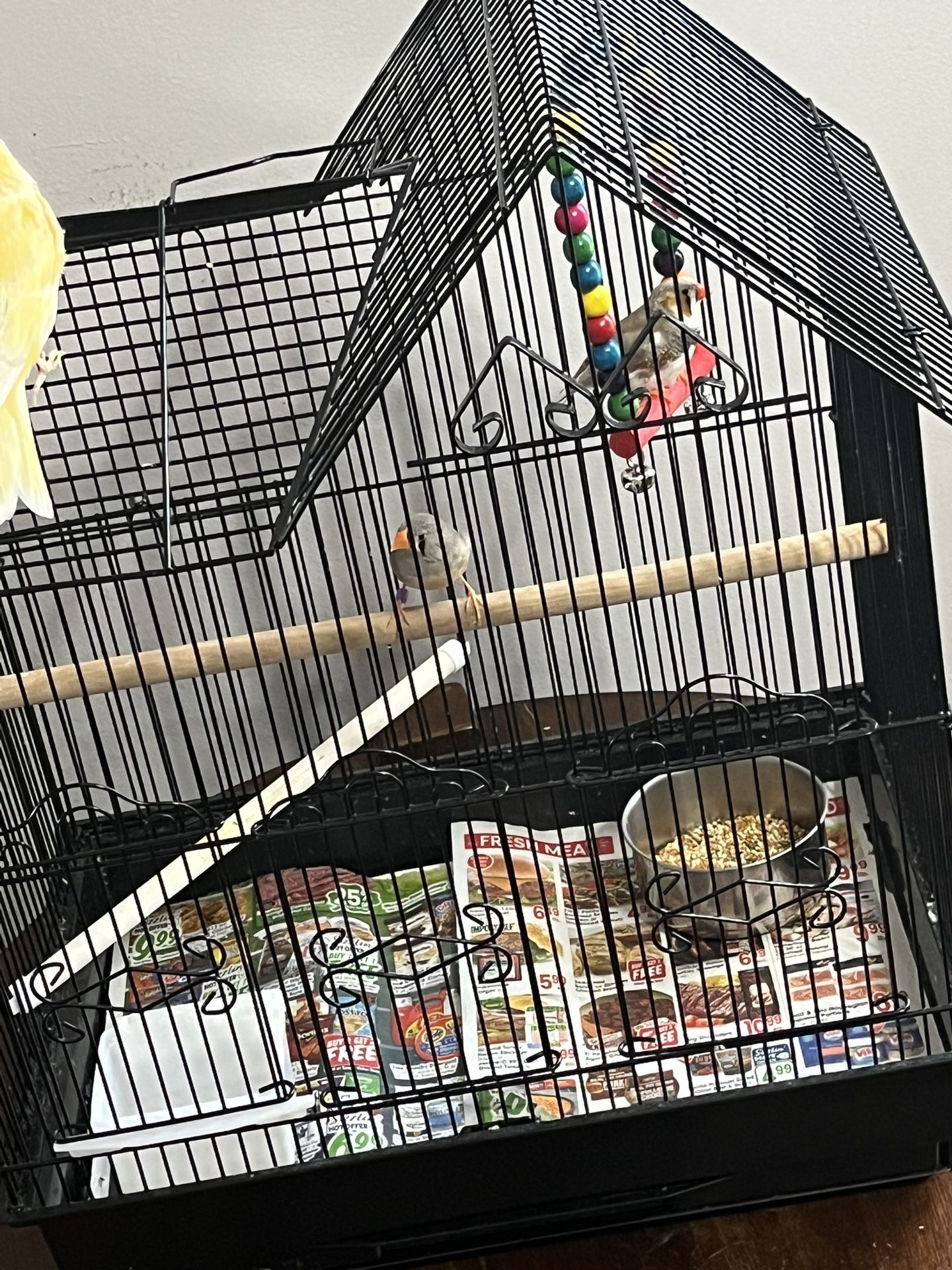 Medium Bird Cage