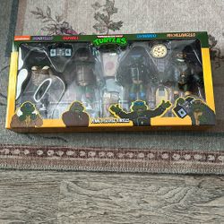 teenage mutant ninja turtles punk disguise turtles 