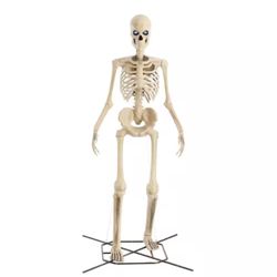 12 Ft Giant Sized Skelly From HD