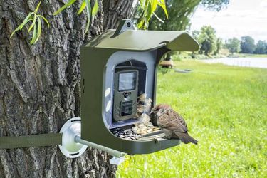 Full HD Birdcam TX-165, 8 Mpixels, Black/Green
