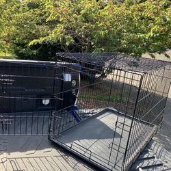 Large Medium Dog Kennel Crate Collapsible in Good Condition 36” L by W 22” H “24