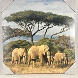 NEW Set of 4 Safari Canvas Wall Art 16x20 – Elephants Lions Giraffes Zebras Sealed