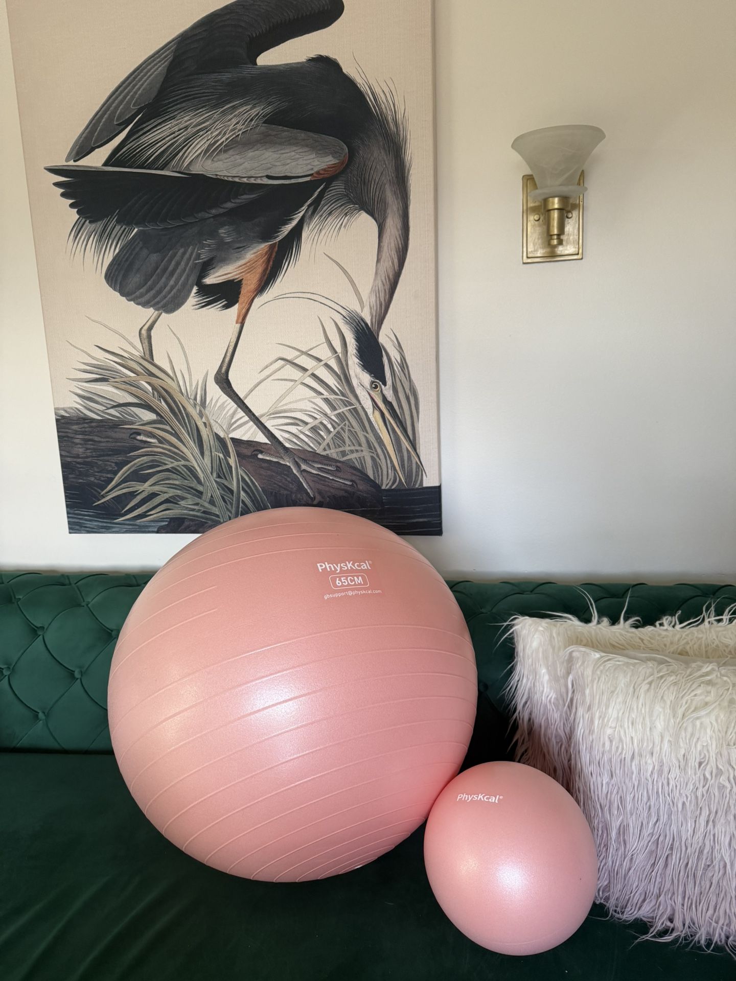 Lightly Used In Great Shape Two Pilates/ Yoga Workout Balls!