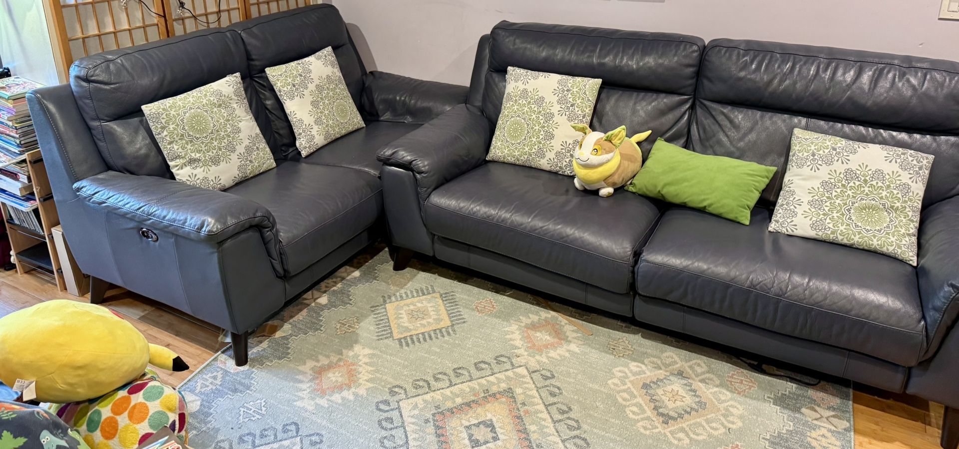 Recliner Couch From Living Spaces