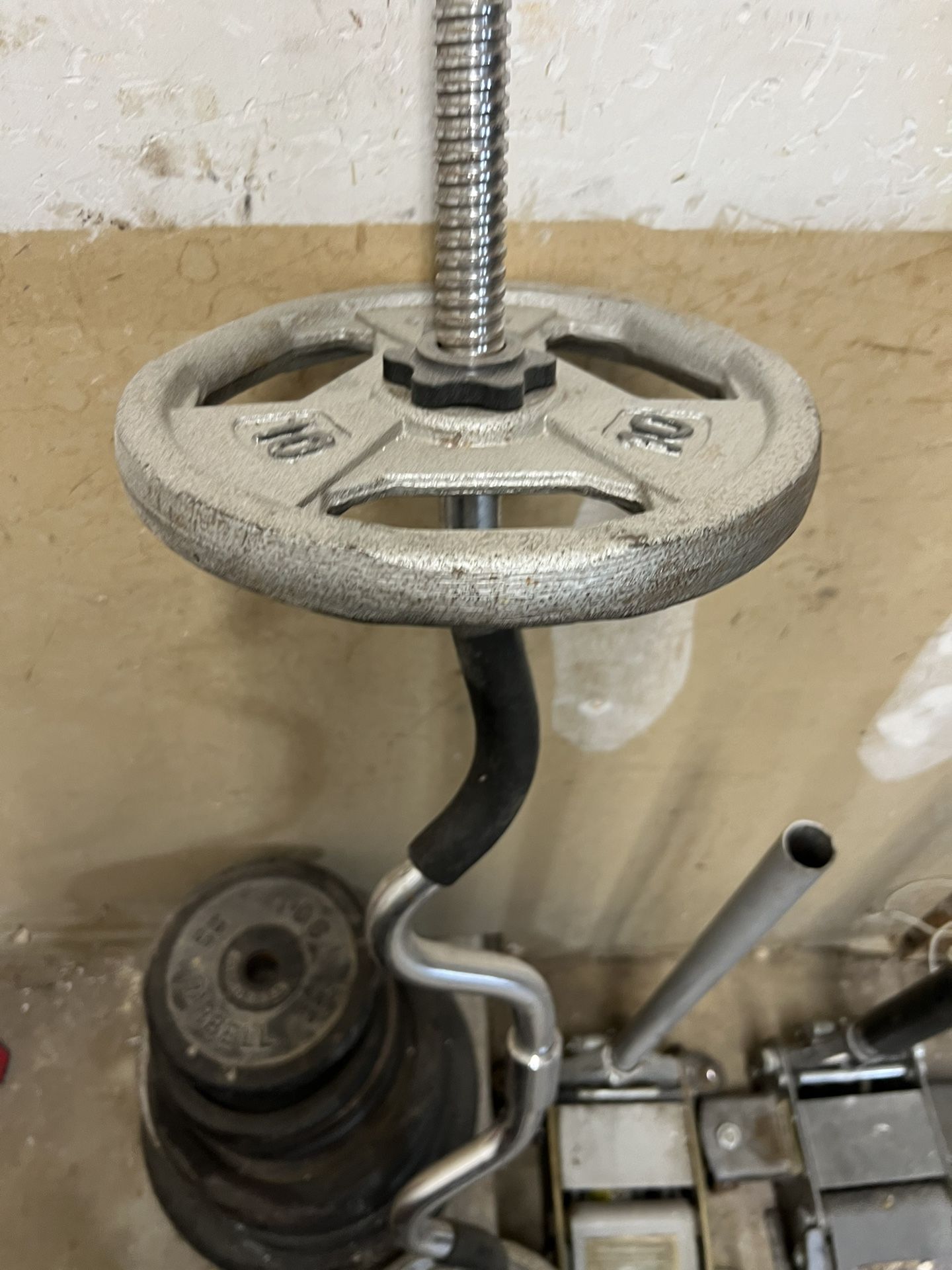 barbell