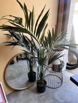 Home decor