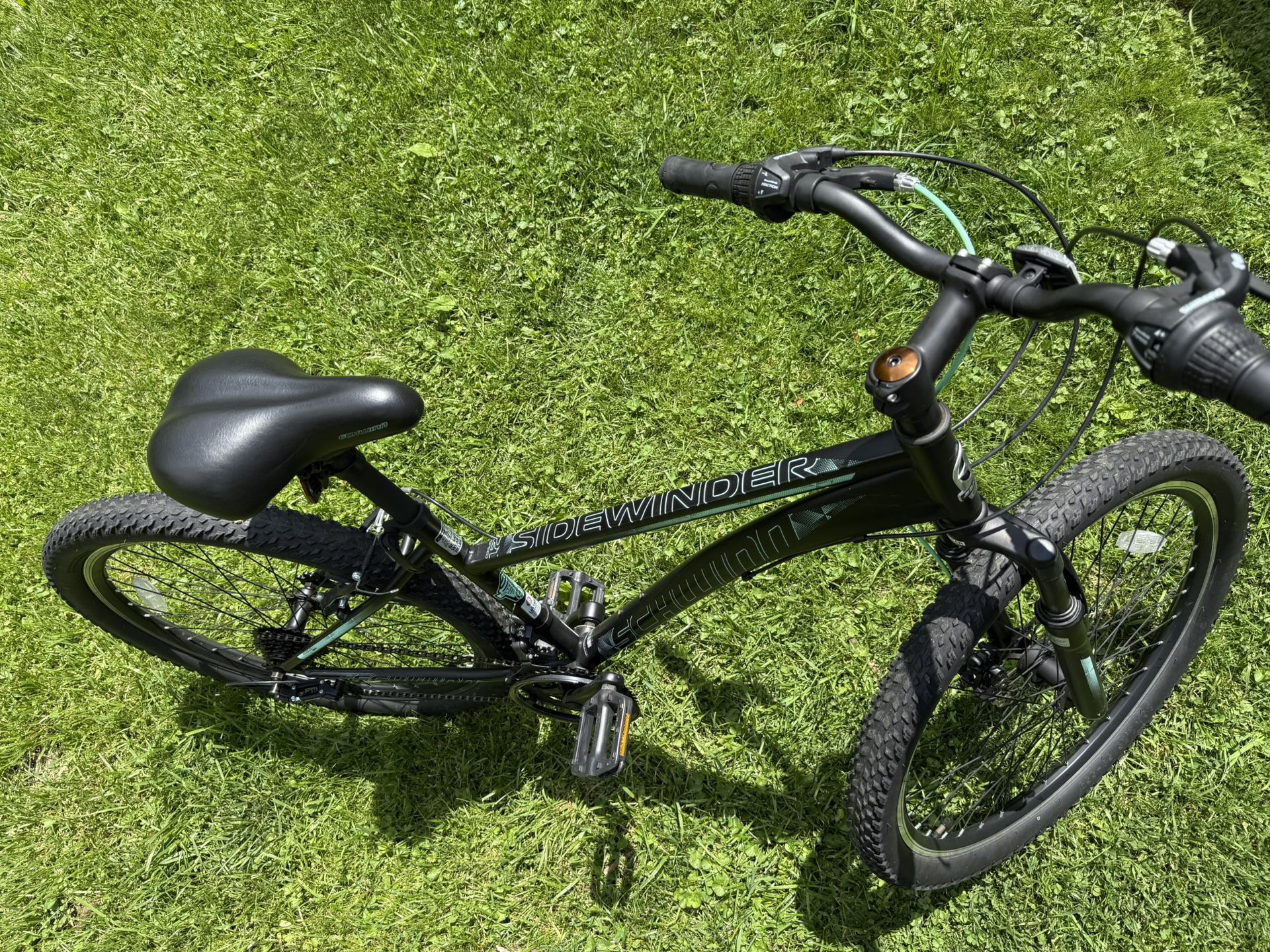 Bike Schwinn