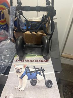 Cat Walker