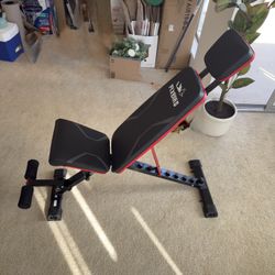 FlyBird Weight Bench