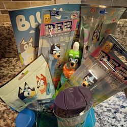 Unisex Bluey Birthday Basket $25