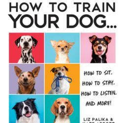 Dog Training book