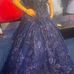 Quinceañera / sweet 16 dress 