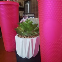 Starbucks Cup Neon Pink Soft $45 Each