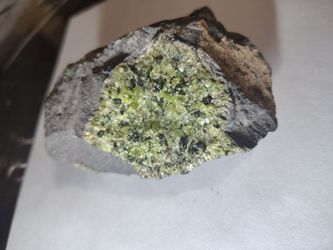 Anthropology Rock