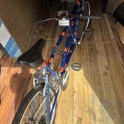 2 Seater Bicycle For Sale.