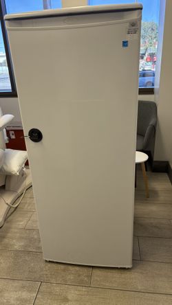 Refrigerator And Mini Freezer