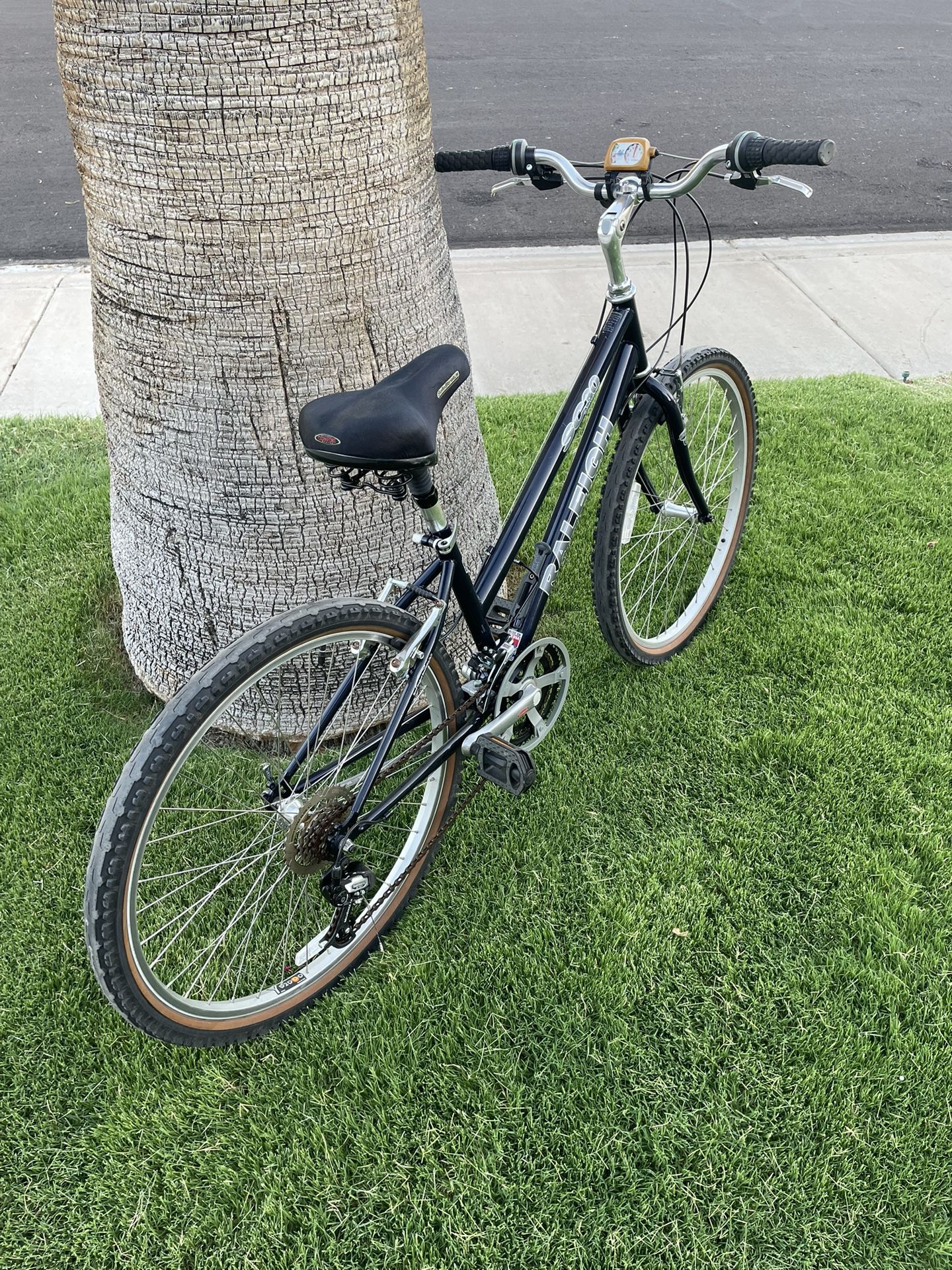 Raleigh Bike