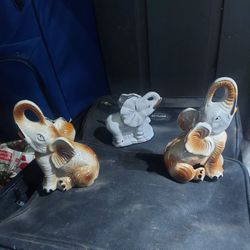 Elephant Set With 1 White Elephant