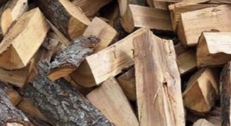 Firewood