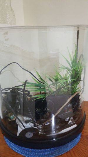 New And Used Fish Tank Decorations For Sale In Minneapolis Mn