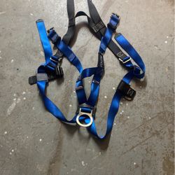Harness 