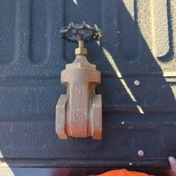 Aqualine 3 Inch Brass Valve 