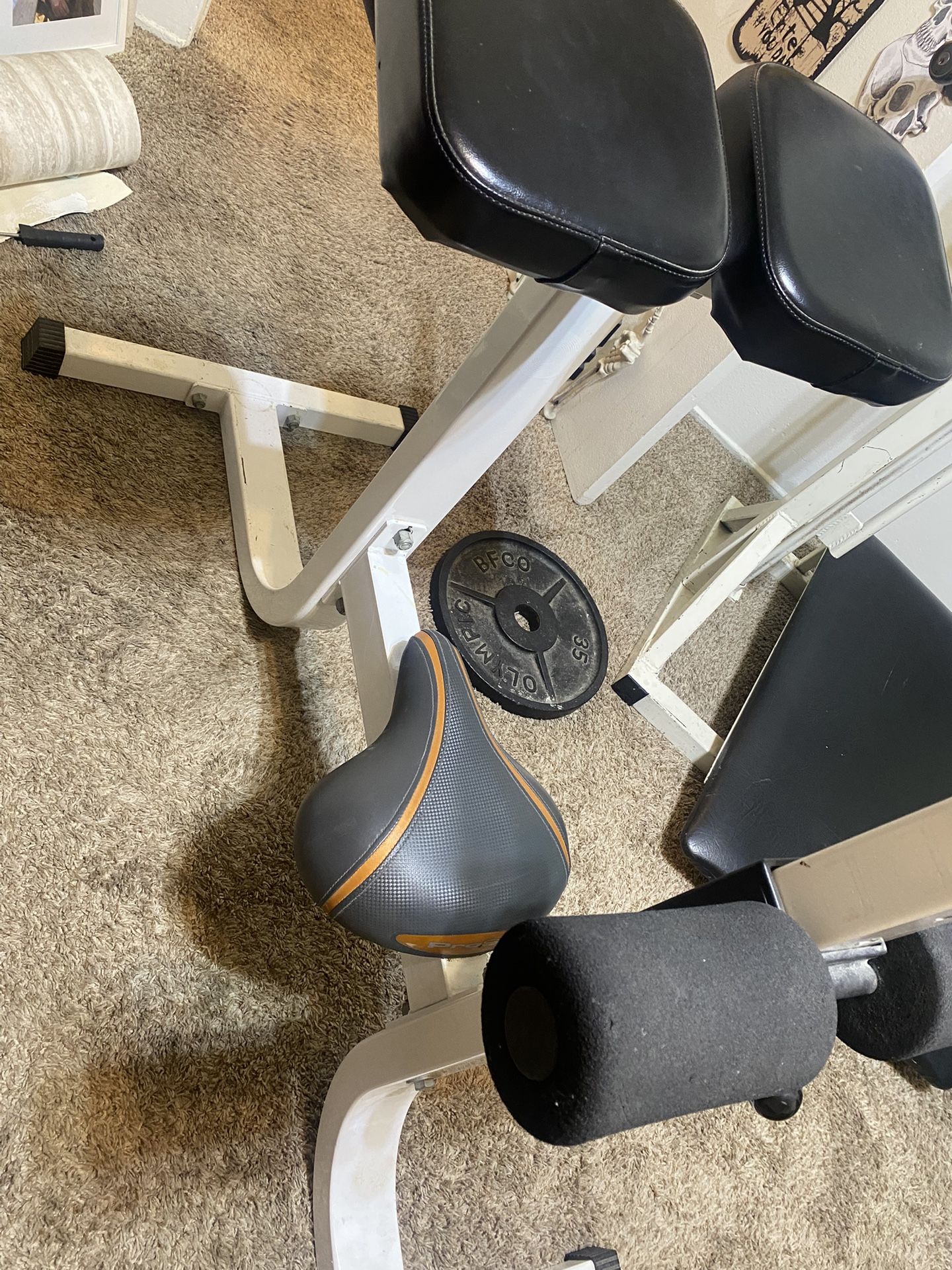 Roman chair Heavy Duty