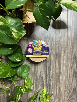 Crazy Fun The Original Mystery Dumpling (Starlight Edition)