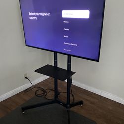 Sony Brava 50” X90J w/VIVO stand