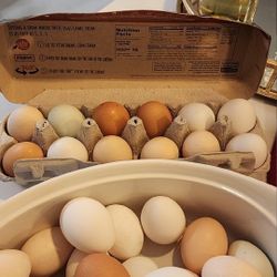 Fresh Eggs 