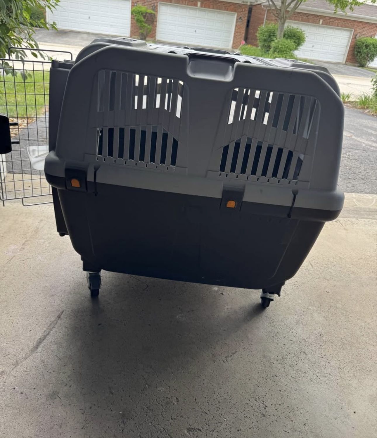MidWest Homes for Pets Skudo Plastic Carrier, Ideal for Large Dogs