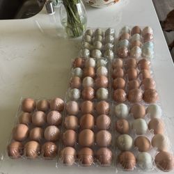 Farm Fresh Eggs