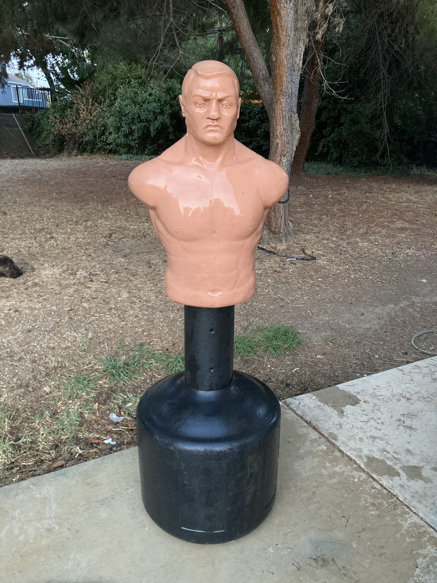 Bob Boxing Dummy for Sale in Roseville, CA OfferUp