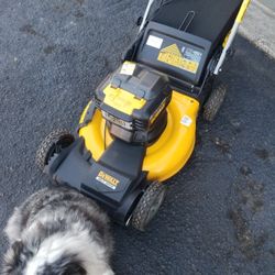 Dewalt Selfpropel 20v Lawnmower 