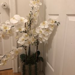 Home Goods Decor Plant