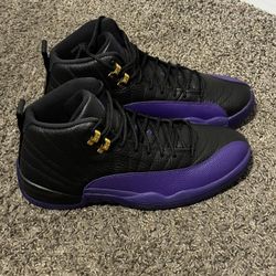 NEW JORDAN 12 