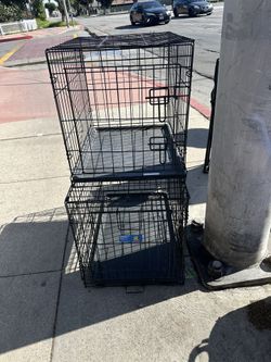 Lista Para TusPerritos   M  L