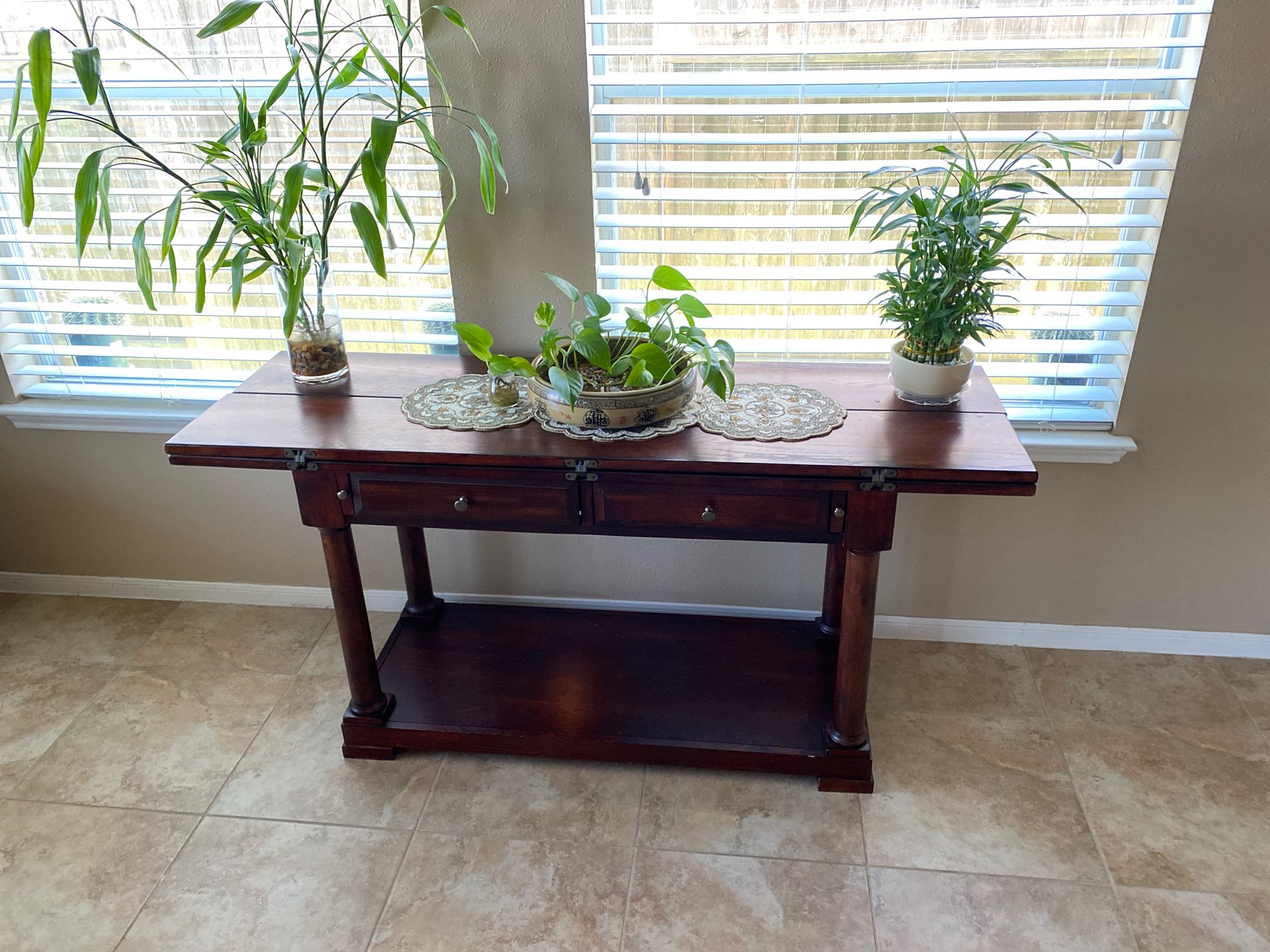 Console Table with plants 🌱 lucky bamboo money plant