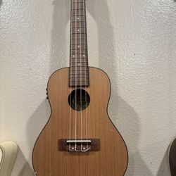 Ukulele 